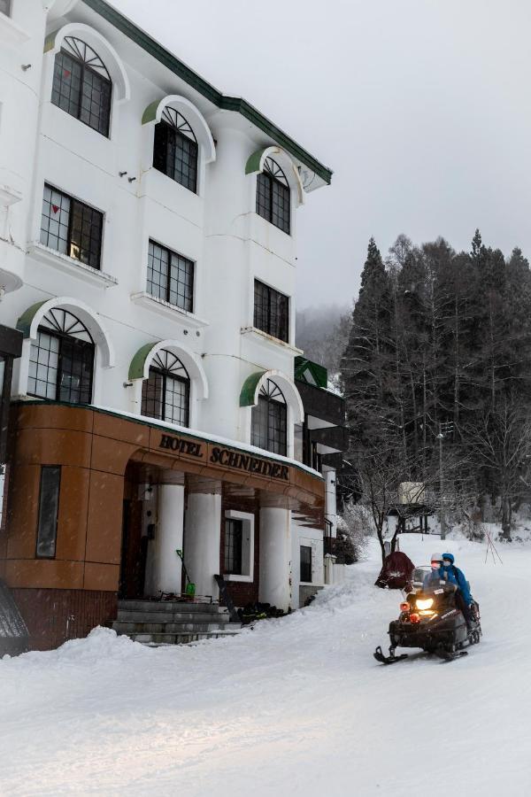 The Schneider Hotel โนซาวะออนเซ็น ภายนอก รูปภาพ